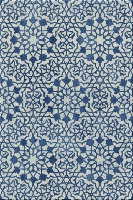 Cubic 6696-ac09b - handmade rug, tufted (India), 24x24 5ply quality